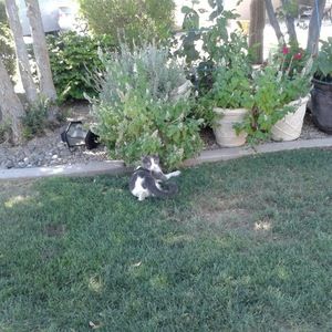 Meet your Posher, Karla